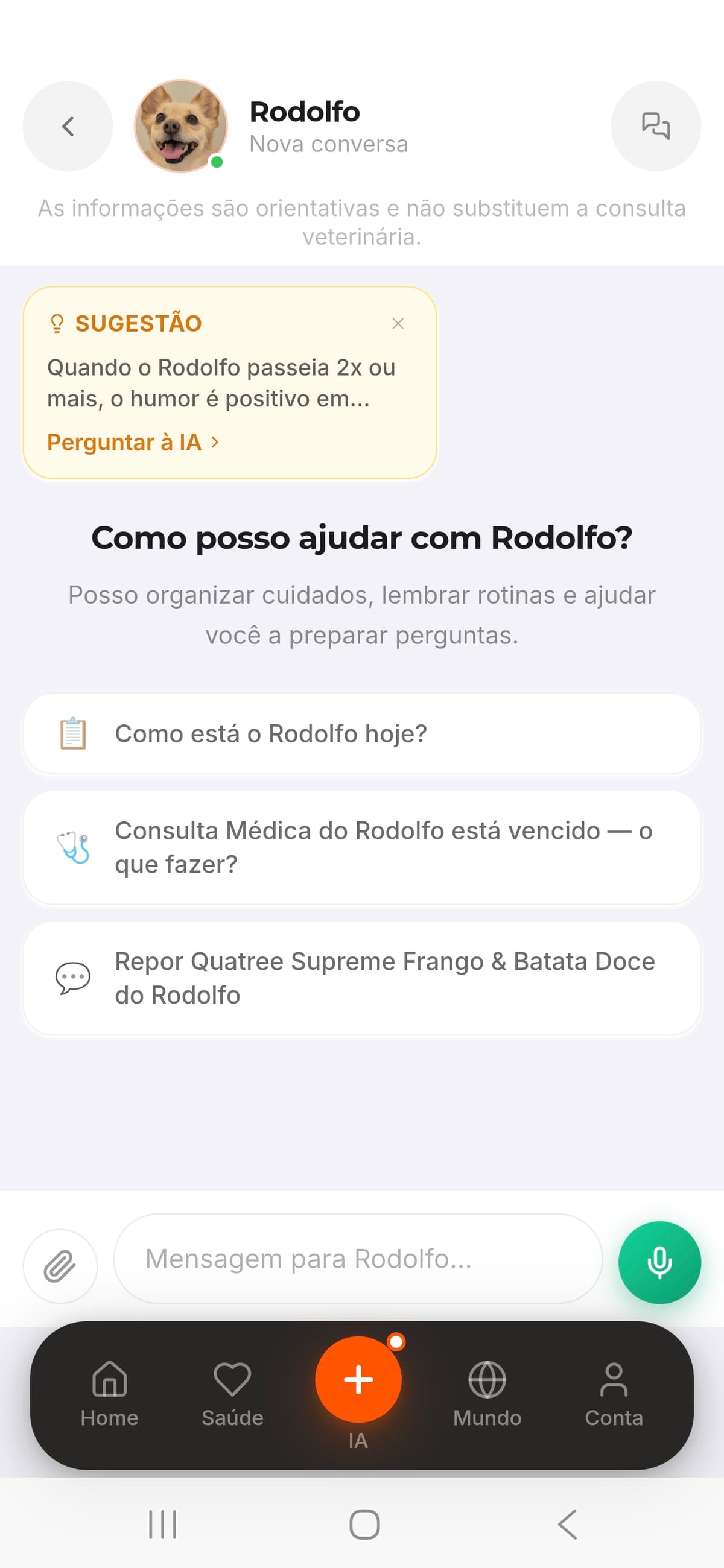 Chat do Dolfo com sugestão sobre o Rodolfo