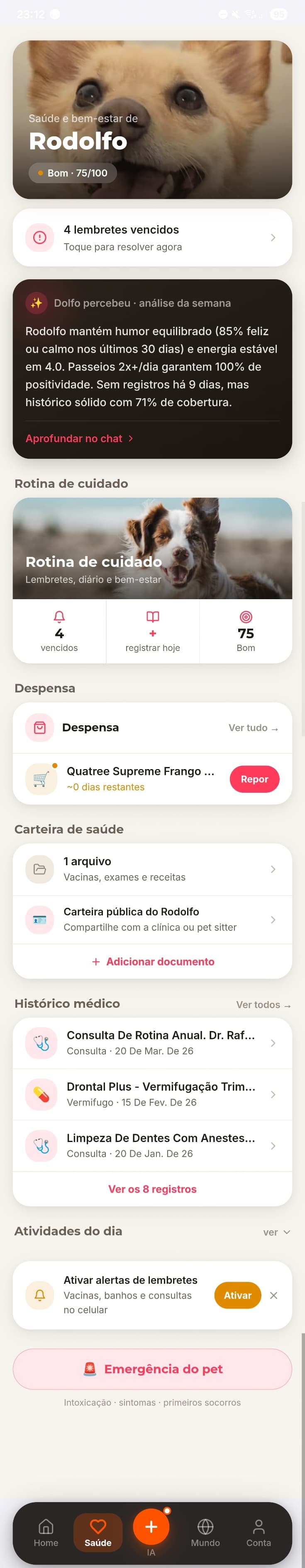 Tela do DolfoPet com o briefing do Rodolfo